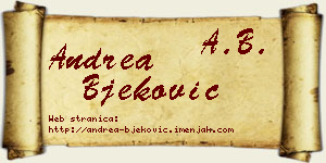 Andrea Bjeković vizit kartica